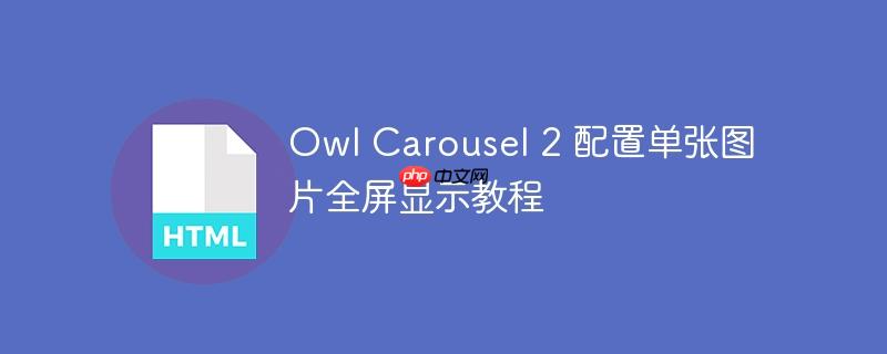 Owl Carousel 2 配置单张图片全屏显示教程