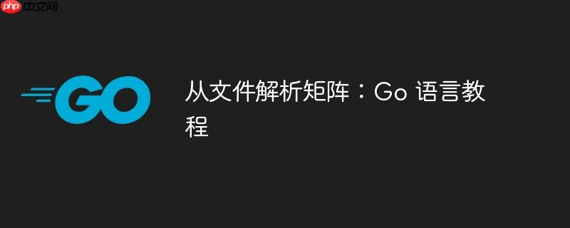从文件解析矩阵：Go 语言教程