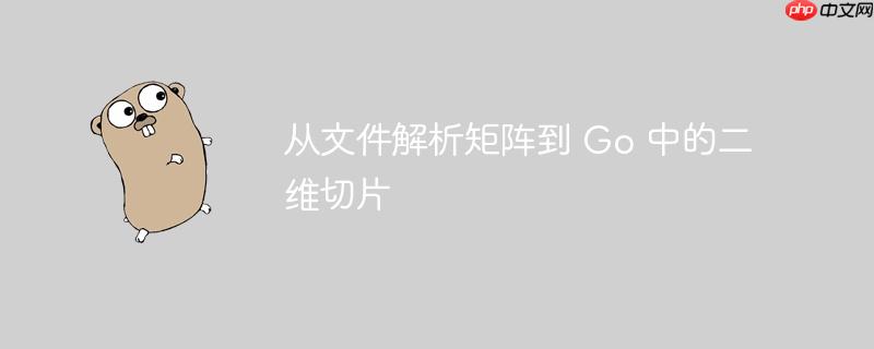 从文件解析矩阵到 Go 中的二维切片