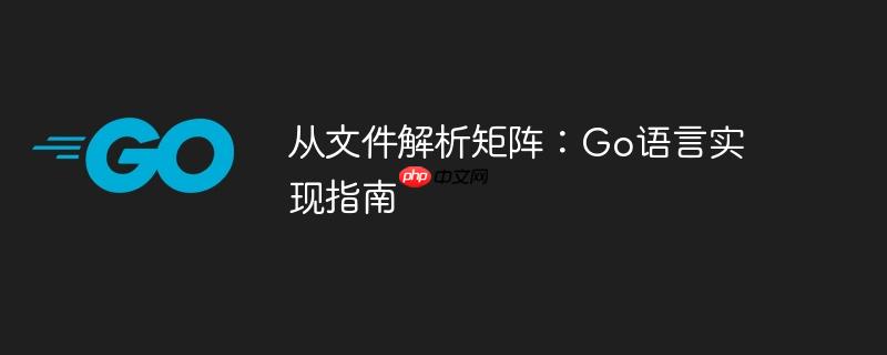 从文件解析矩阵：Go语言实现指南
