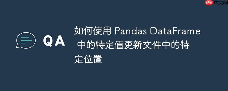如何使用 pandas dataframe 中的特定值更新文件中的特定位置