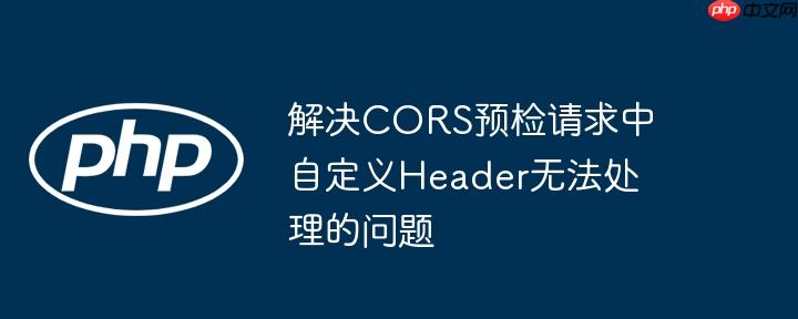 解决cors预检请求中自定义header无法处理的问题