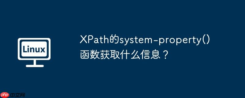 XPath的system-property()函数获取什么信息？