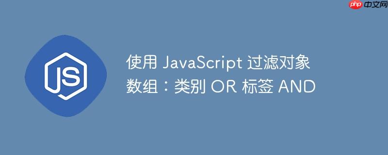 使用 JavaScript 过滤对象数组：类别 OR 标签 AND