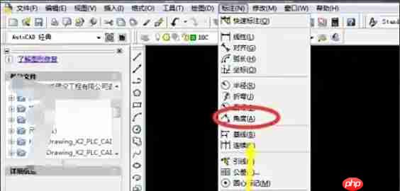 AutoCAD2007怎么标注角度-AutoCAD2007标注角度的方法