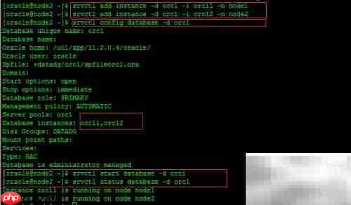 PRCR-1001: ora.orcl.db资源异常