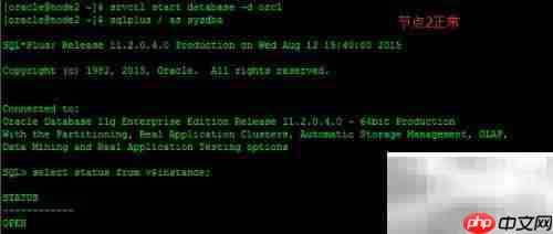 PRCR-1001: ora.orcl.db资源异常