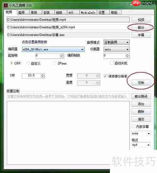 如何将字幕与视频合并？