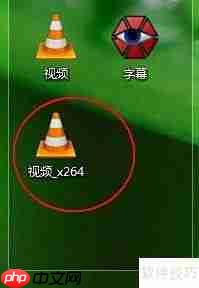 如何将字幕与视频合并？