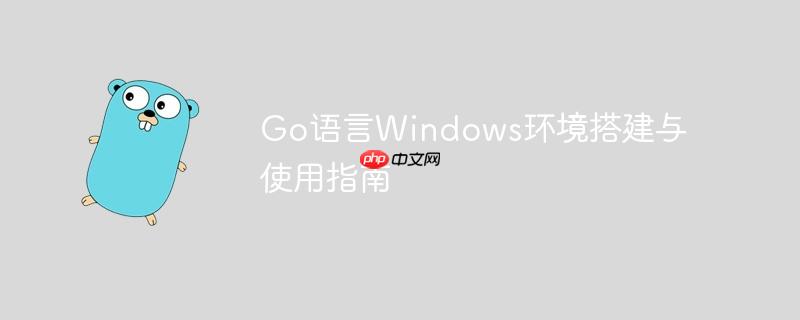 Go语言Windows环境搭建与使用指南
