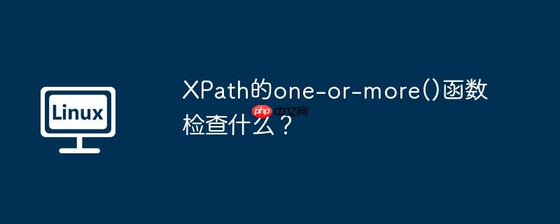 XPath的one-or-more()函数检查什么？