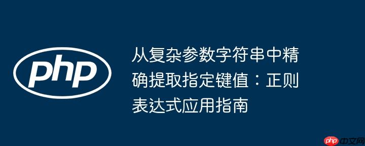 从复杂参数字符串中精确提取指定键值：正则表达式应用指南