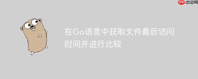 在Go语言中获取文件最后访问时间并进行比较