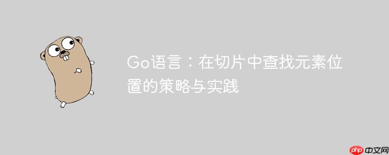 Go语言：在切片中查找元素位置的策略与实践