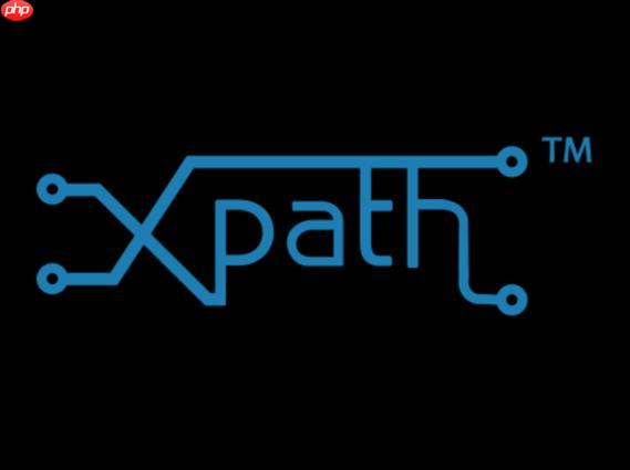 XPath的name()函数如何获取节点名称？