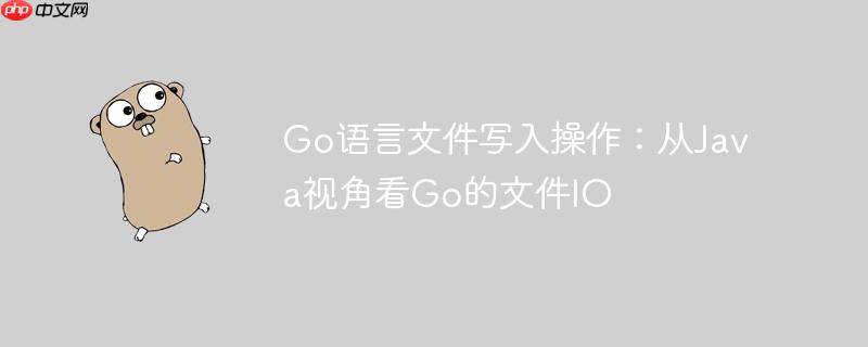 Go语言文件写入操作：从Java视角看Go的文件IO