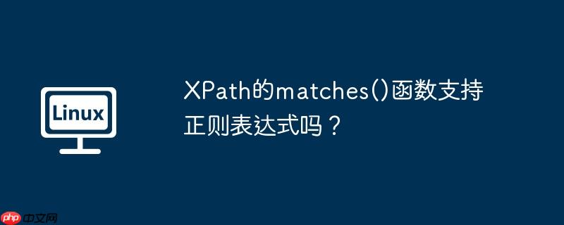 XPath的matches()函数支持正则表达式吗？