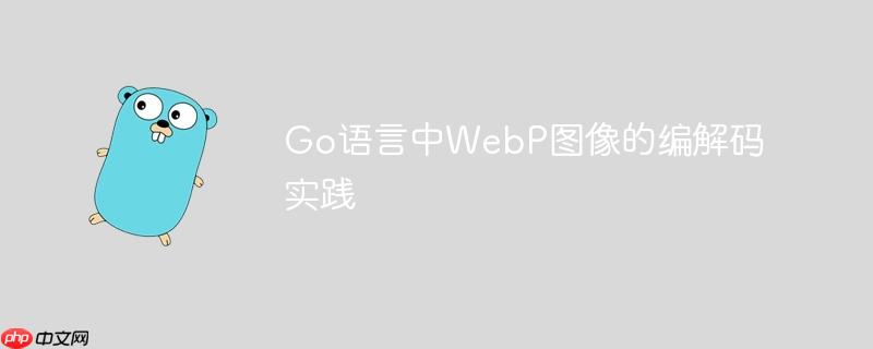 Go语言中WebP图像的编解码实践