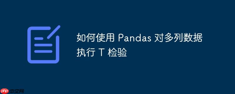 如何使用 pandas 对多列数据执行 t 检验