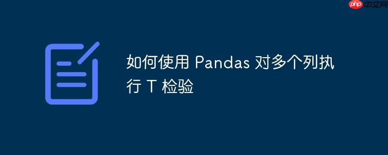 如何使用 pandas 对多个列执行 t 检验