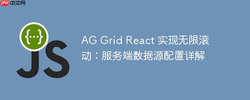 AG Grid React 实现无限滚动：服务端数据源配置详解