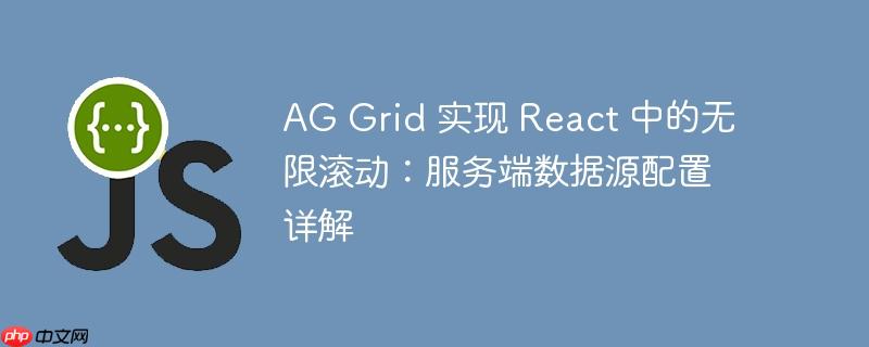 AG Grid 实现 React 中的无限滚动：服务端数据源配置详解