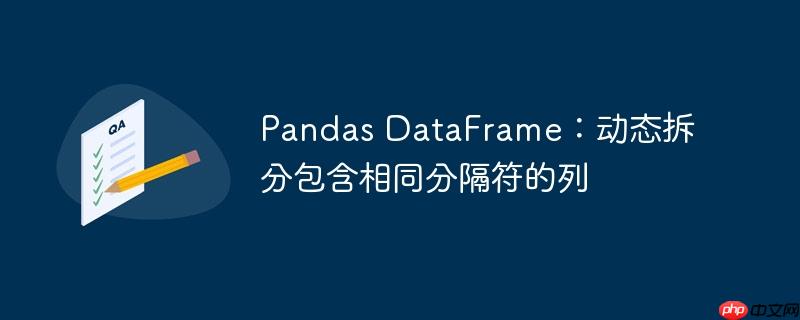 Pandas DataFrame：动态拆分包含相同分隔符的列