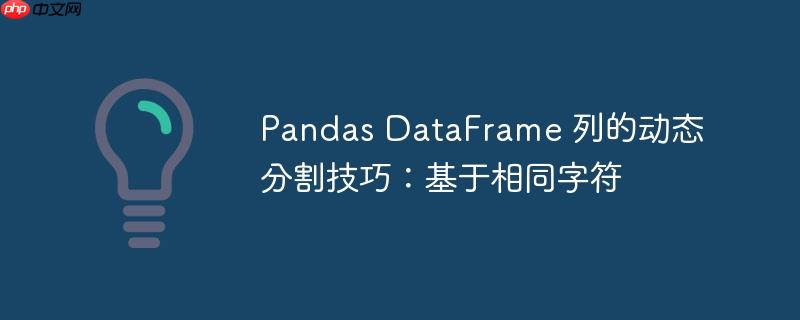 Pandas DataFrame 列的动态分割技巧：基于相同字符