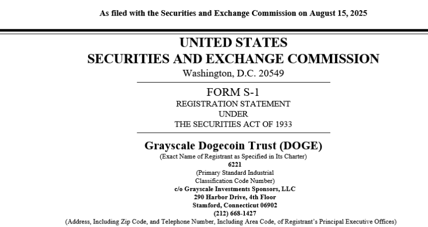  狗狗币遭遇ETF推迟：接下来DOGE会崩盘还是暴涨？ - 创想鸟