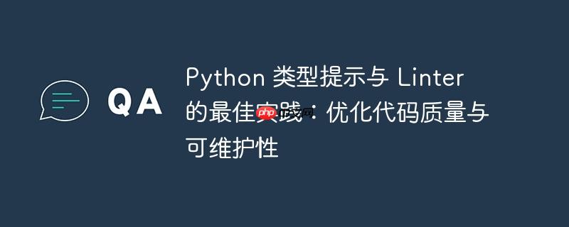python 类型提示与 linter 的最佳实践：优化代码质量与可维护性