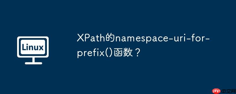 XPath的namespace-uri-for-prefix()函数？