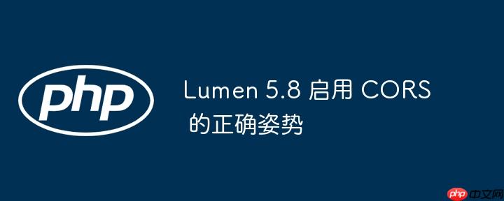 lumen 5.8 启用 cors 的正确姿势