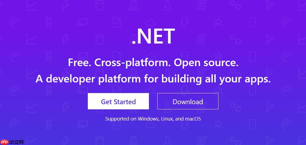 .NET的AssemblyNameFlags枚举如何设置程序集属性？