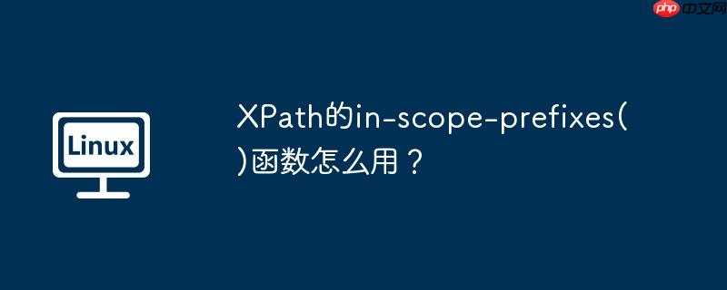 XPath的in-scope-prefixes()函数怎么用？