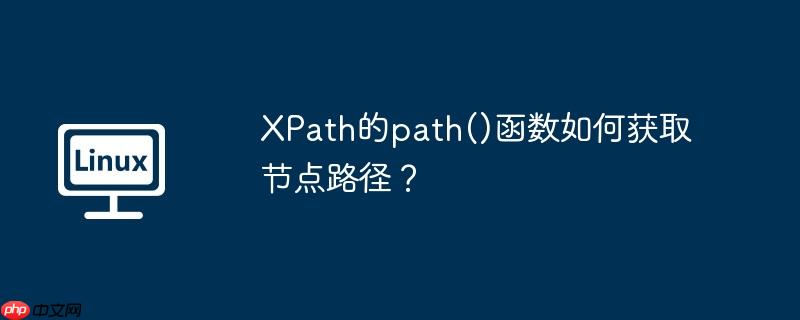 XPath的path()函数如何获取节点路径？