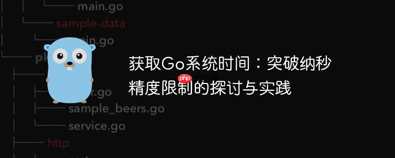 获取Go系统时间：突破纳秒精度限制的探讨与实践