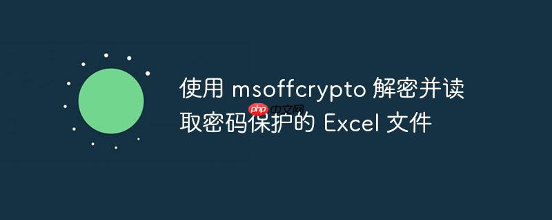 使用 msoffcrypto 解密并读取密码保护的 excel 文件