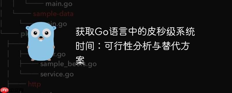 获取Go语言中的皮秒级系统时间：可行性分析与替代方案