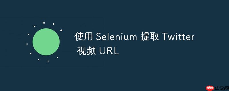 使用 selenium 提取 twitter 视频 url