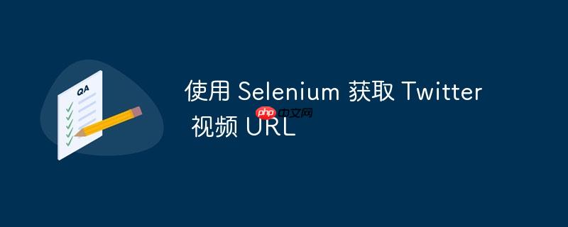 使用 selenium 获取 twitter 视频 url