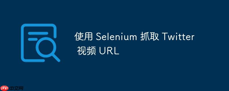 使用 selenium 抓取 twitter 视频 url