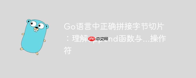 Go语言中正确拼接字节切片：理解append函数与…操作符