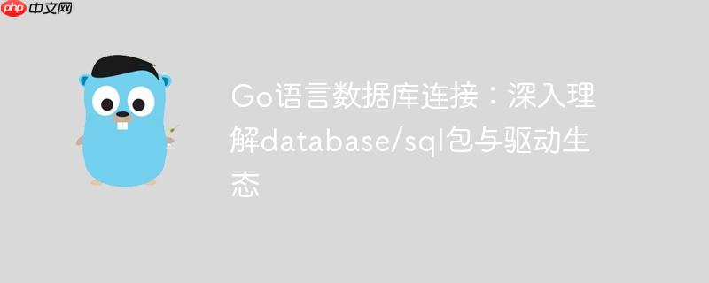 Go语言数据库连接：深入理解database/sql包与驱动生态