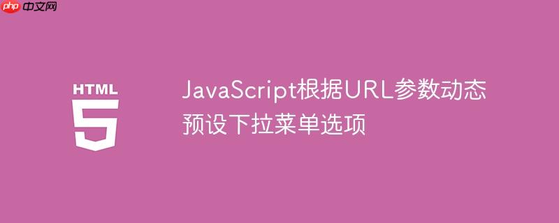 JavaScript根据URL参数动态预设下拉菜单选项