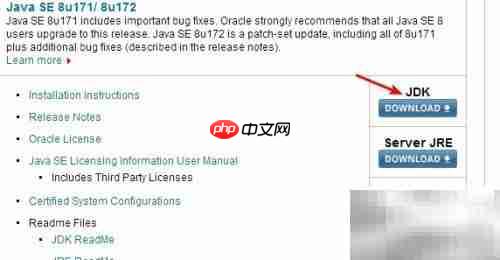 IntelliJ IDEA配置JDK指南