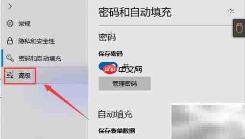 Flash Player使用指南