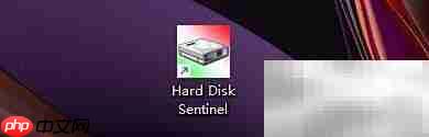 Hard Disk Sentinel磁盘活动显示