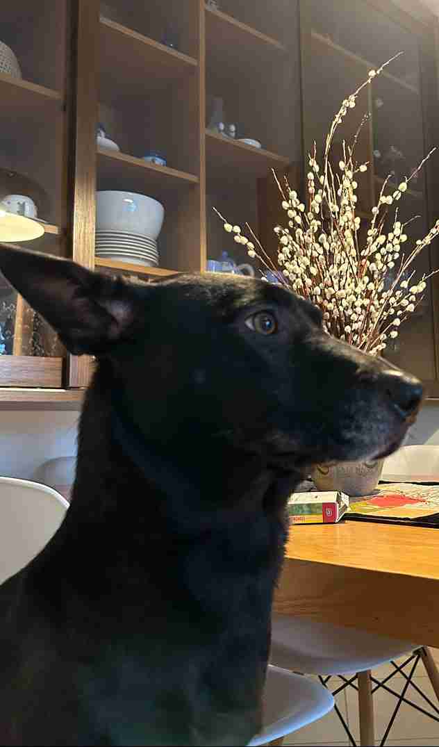 币安支付：可以使用加密货币购买可乐或其他商品了? 怎么买？