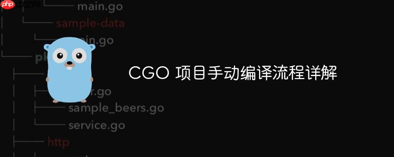 CGO 项目手动编译流程详解