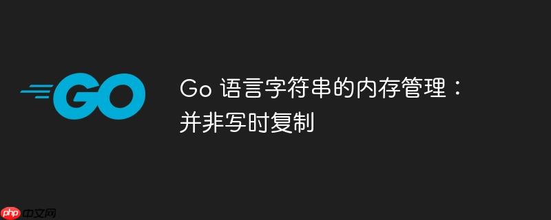 Go 语言字符串的内存管理：并非写时复制